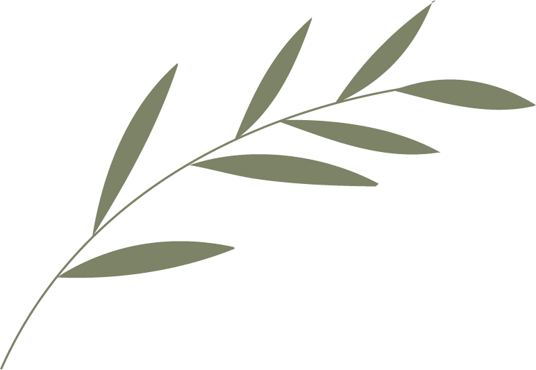 Decoración-Hojas-icon