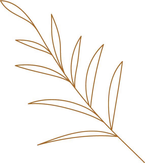 Decoración-icon